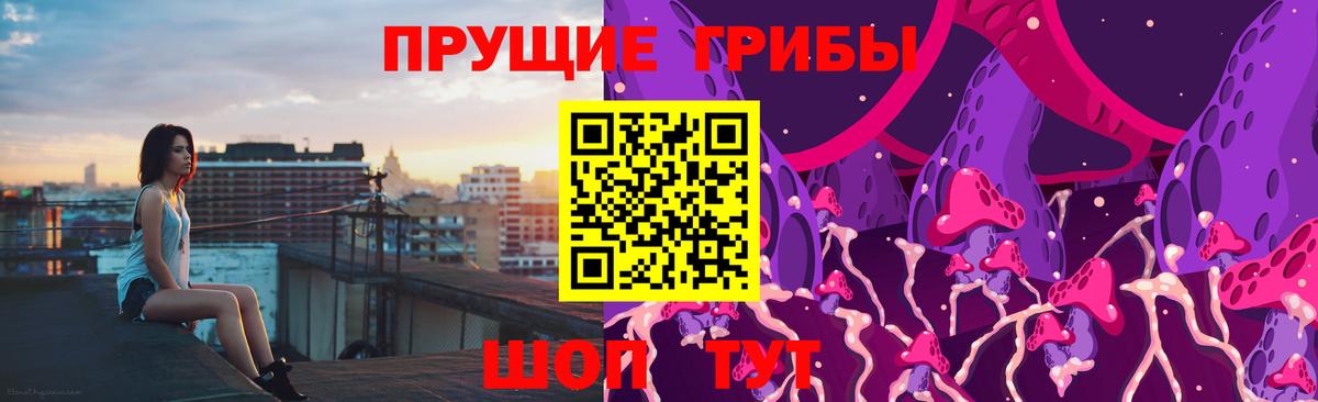 Галлюциногенные грибы Psilocybe Сланцы